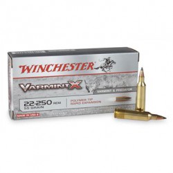 .22-250REM Winchester 55gr Varmint-X