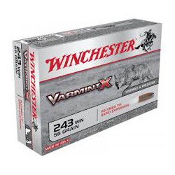 .243WIN Winchester 58gr varmint x