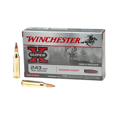 .243WIN Winchester 100gr power-point