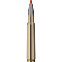 RWS .30-06SPR 165grs Hit Short Rifle