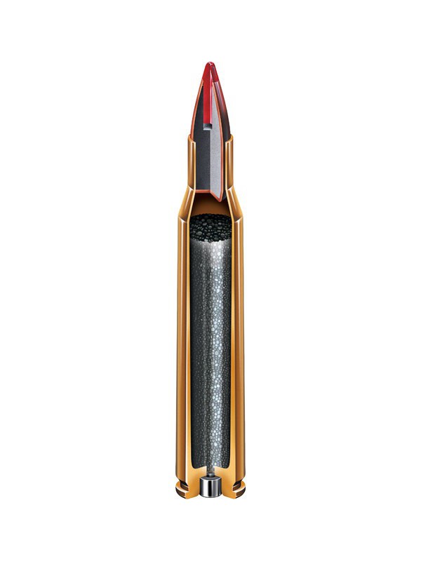 .222REM 50 grs V-Max