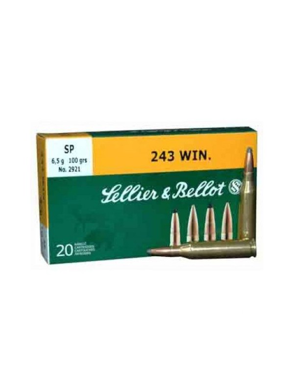 .243WIN S&B 100gr SP